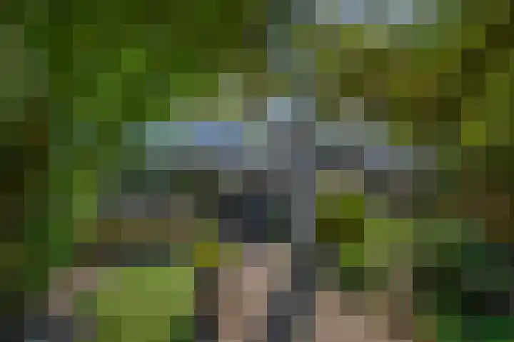 Impalalaan 20 Helmond thumbnail 33