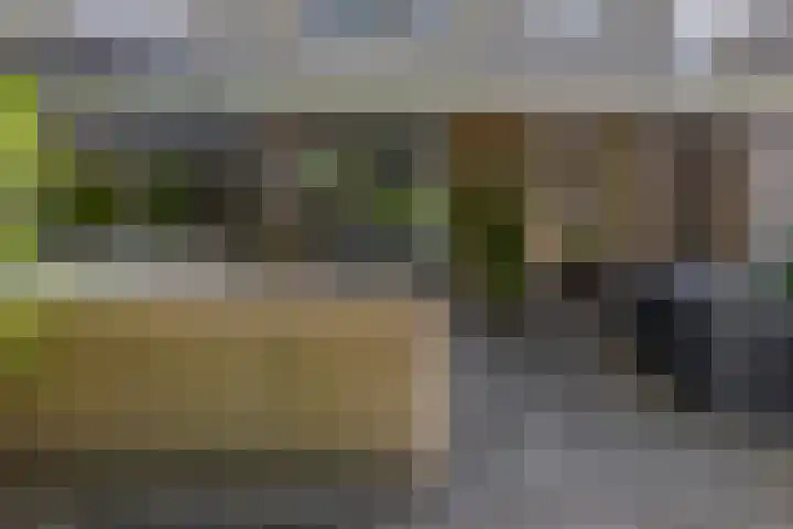 Impalalaan 20 Helmond thumbnail 36