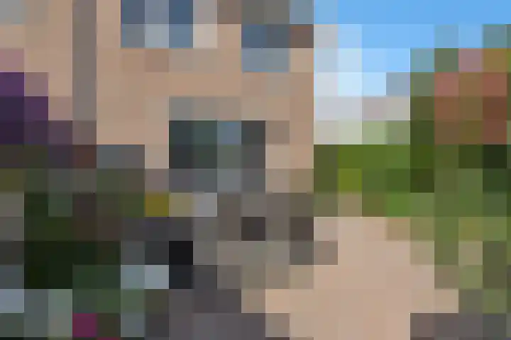 Impalastraat 50 Almere thumbnail 45