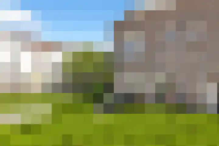 Impalastraat 50 Almere thumbnail 8