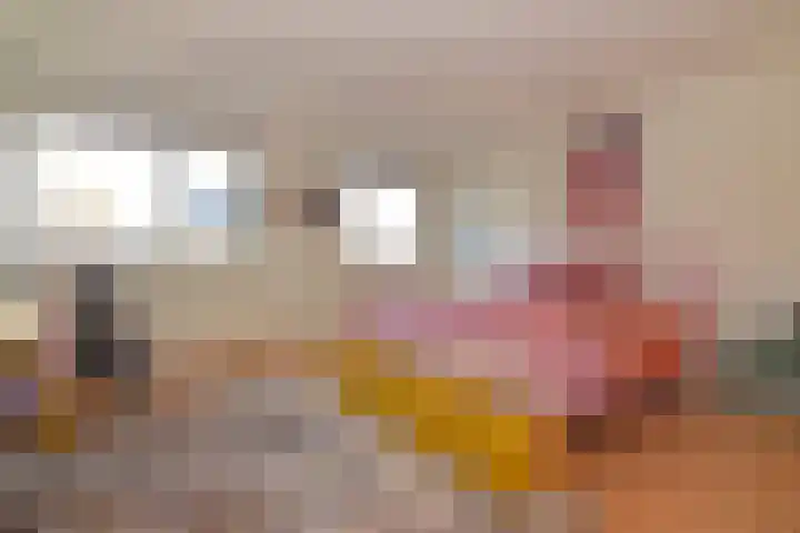 Impalastraat 63 Utrecht thumbnail 12