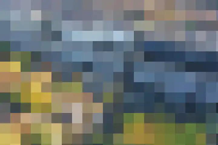 Impalastraat 63 Utrecht thumbnail 28