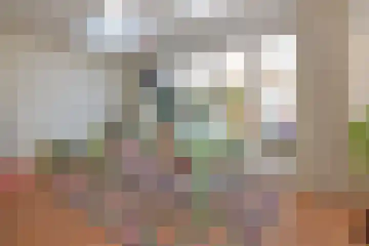 Impalastraat 63 Utrecht thumbnail 4