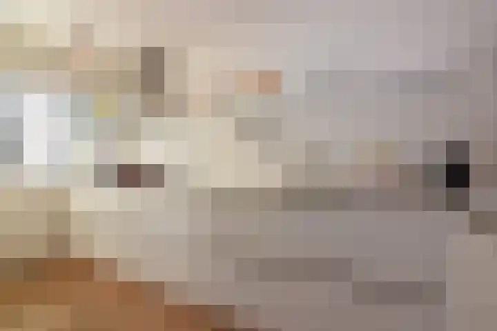 Impalastraat 63 Utrecht thumbnail 7