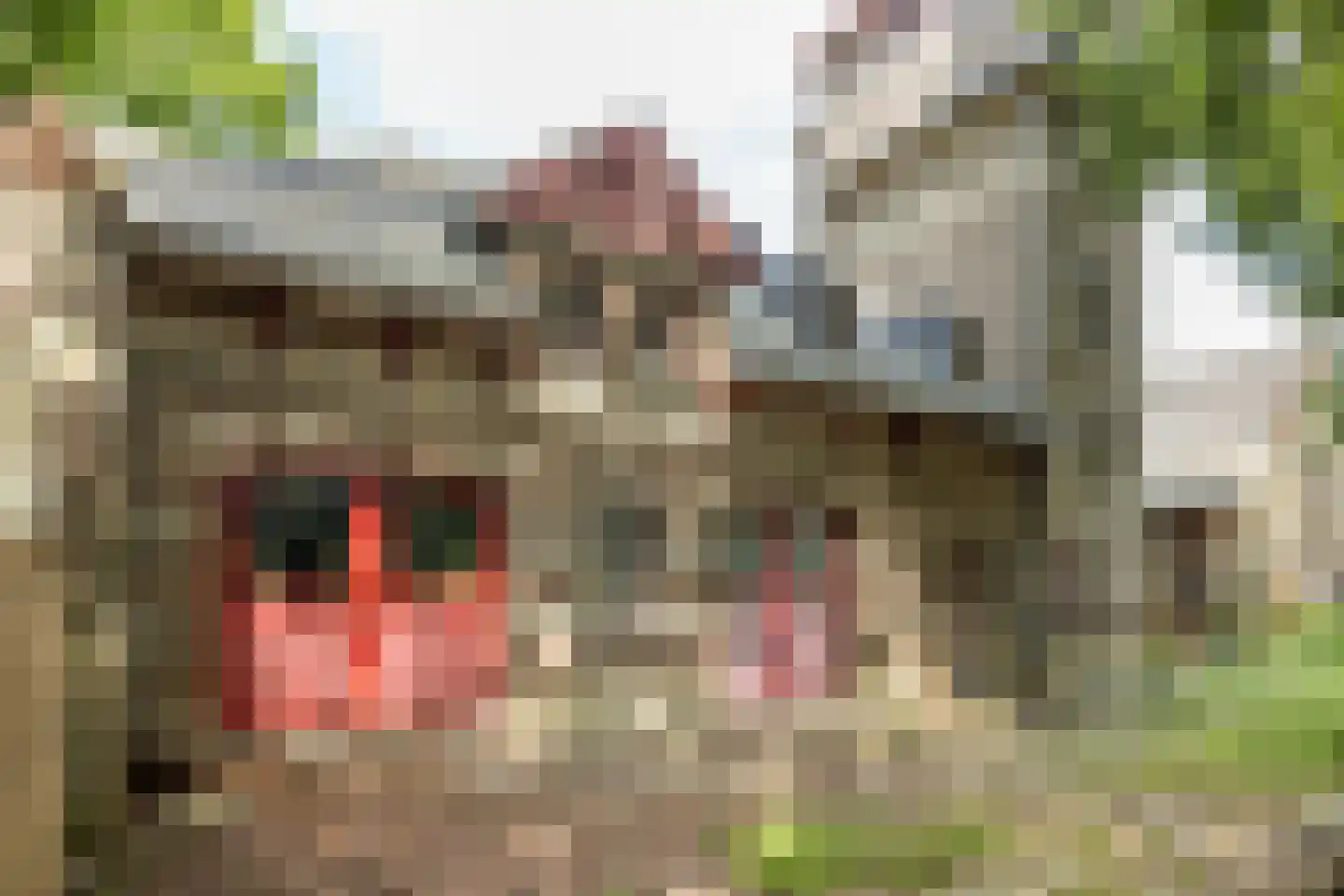 Imstenrade 2 Heerlen thumbnail 21