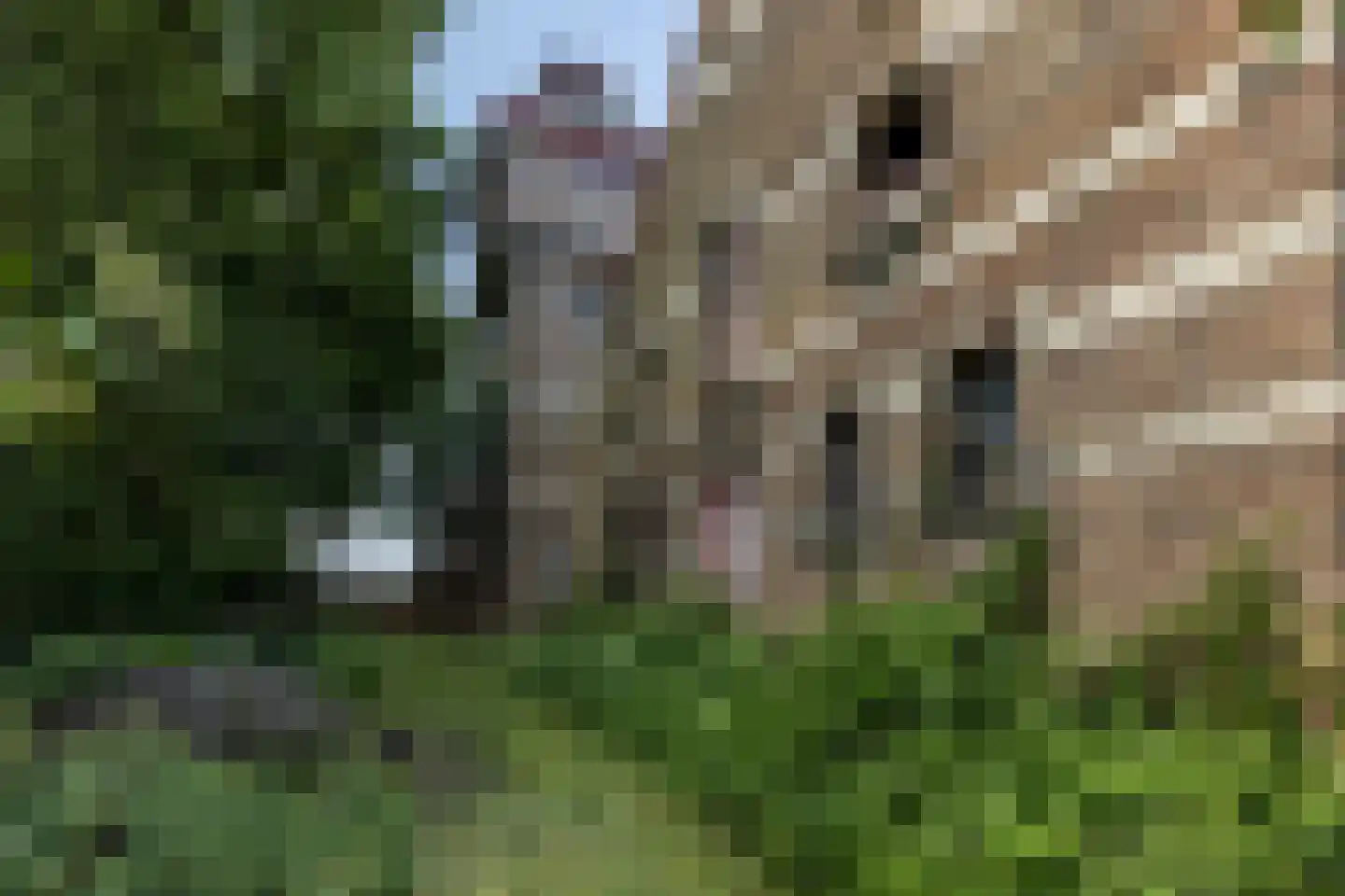 Imstenrade 2 Heerlen thumbnail 39