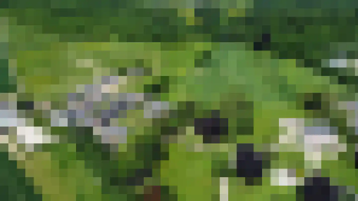 Imstenrade 2 Heerlen thumbnail 48
