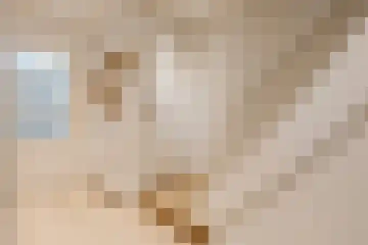 Imstenrade 27 Amsterdam thumbnail 12