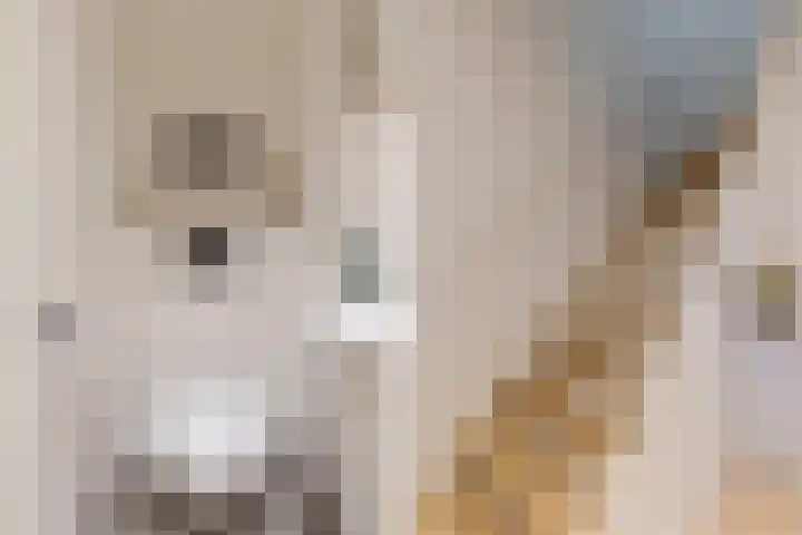 Imstenrade 27 Amsterdam thumbnail 13
