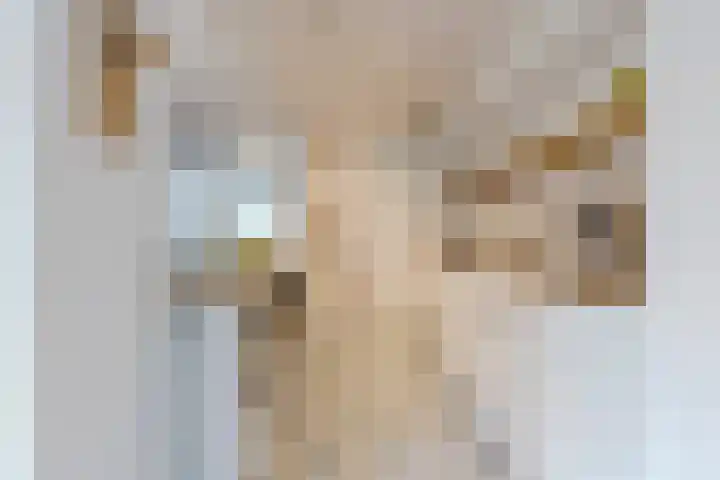 Imstenrade 27 Amsterdam thumbnail 18