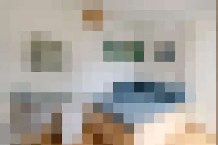 Imstenrade 27 Amsterdam thumbnail 20