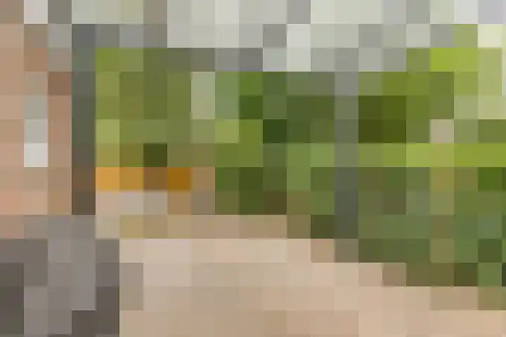 Imstenrade 27 Amsterdam thumbnail 21