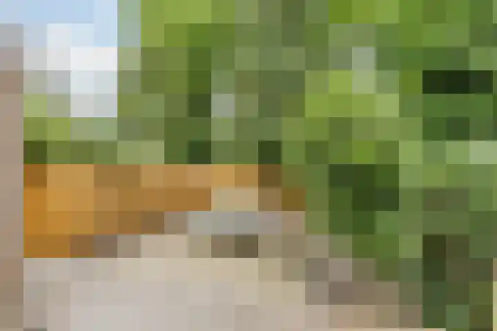 Imstenrade 27 Amsterdam thumbnail 22