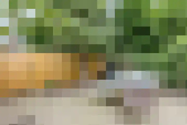Imstenrade 27 Amsterdam thumbnail 23