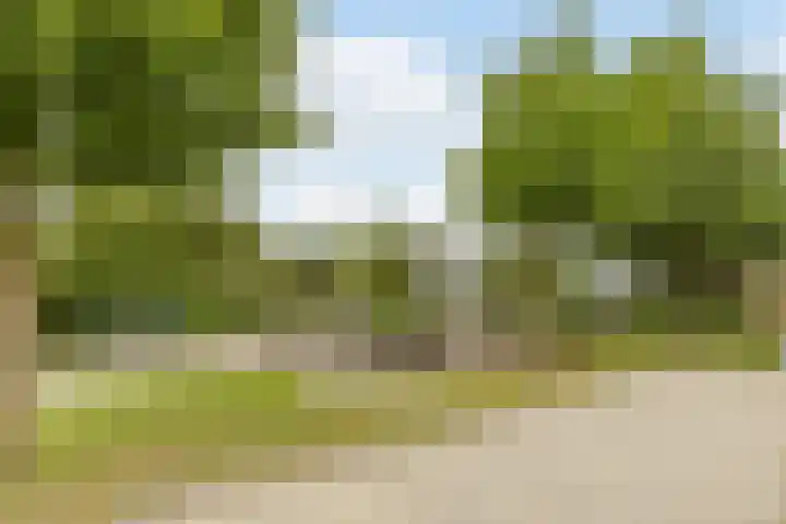 Imstenrade 27 Amsterdam thumbnail 45