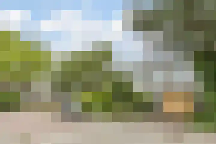 Imstenrade 27 Amsterdam thumbnail 5