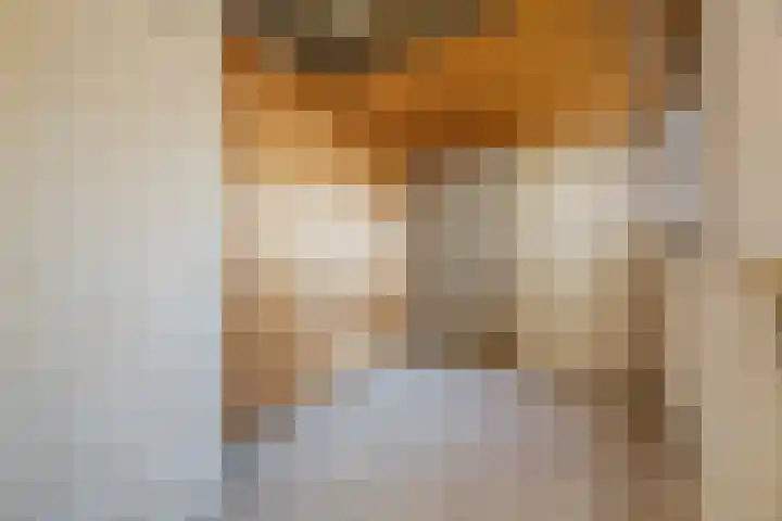 Imstenrade 34 Eindhoven thumbnail 14