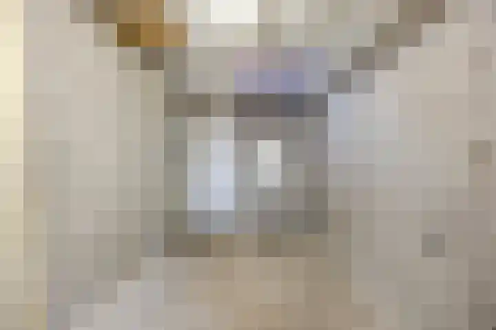 Imstenrade 34 Eindhoven thumbnail 17