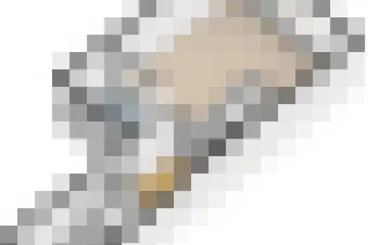 Imstenrade 34 Eindhoven thumbnail 54