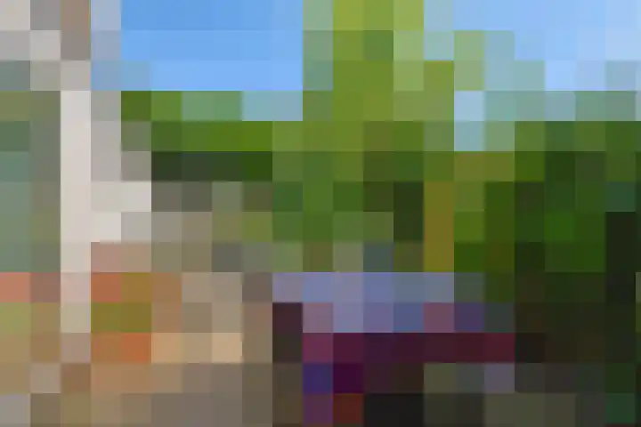 Imstenrade 35 Amsterdam thumbnail 15