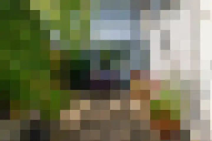 Imstenrade 35 Amsterdam thumbnail 18