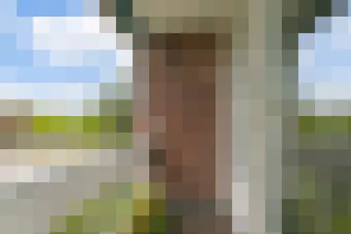 Imstenrade 35 Amsterdam thumbnail 28