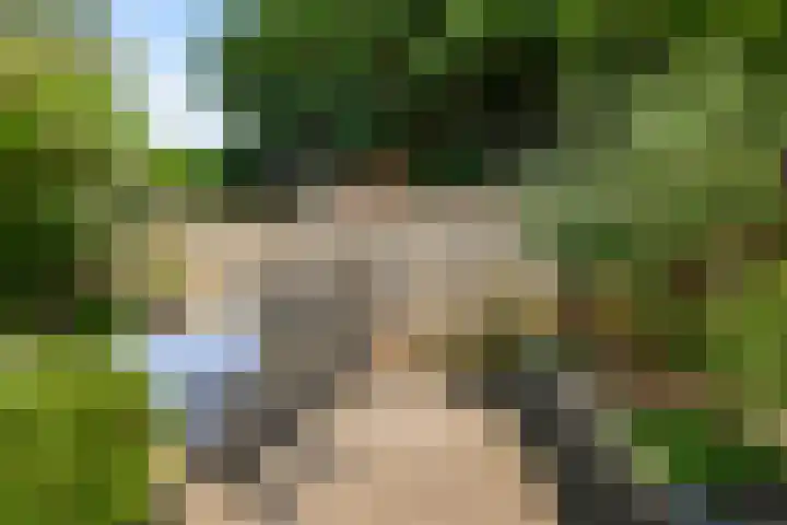Imstenrade 35 Amsterdam thumbnail 4