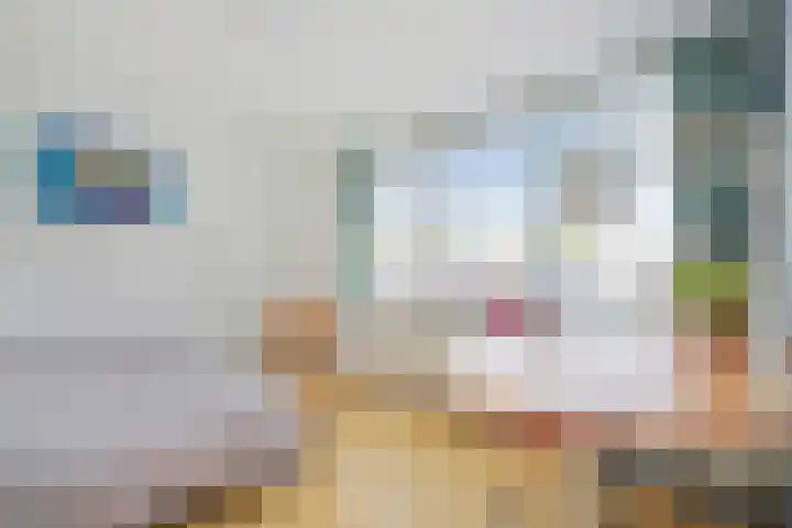 Imstenrade 35 Amsterdam thumbnail 42