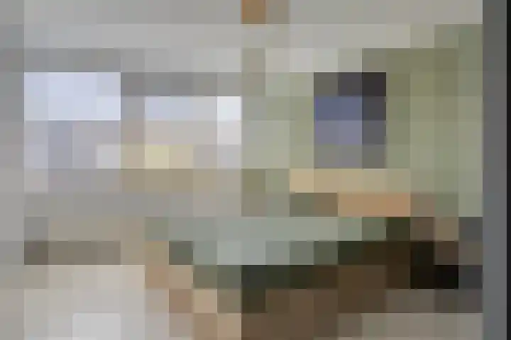 Imstenrade 61 Eindhoven thumbnail 24