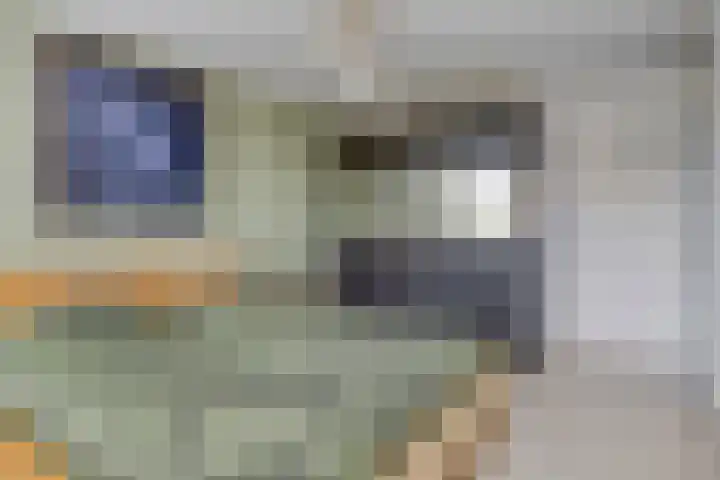Imstenrade 61 Eindhoven thumbnail 25