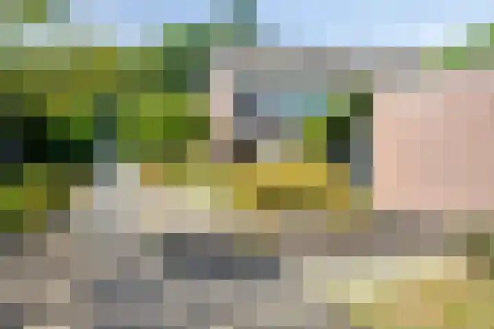 Imstenrade 61 Eindhoven thumbnail 52