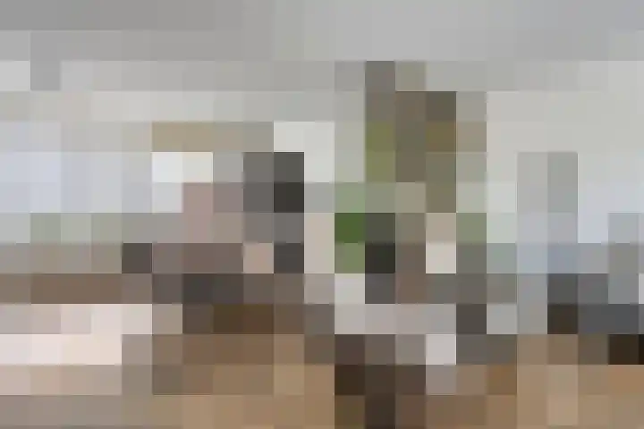 Imstenrade 61 Eindhoven thumbnail 7