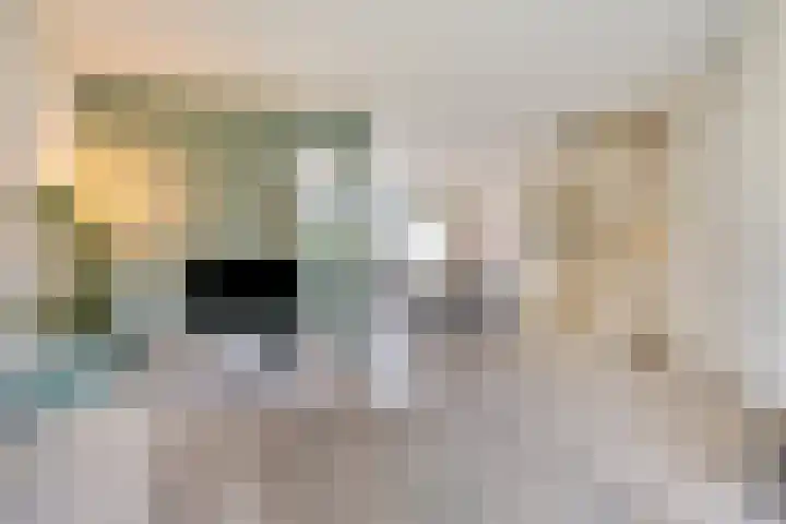 Imstenrade 67 Eindhoven thumbnail 10