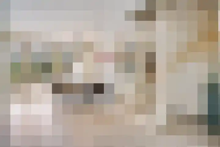 Imstenrade 67 Eindhoven thumbnail 11