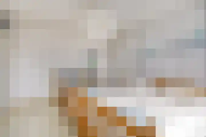 Imstenrade 67 Eindhoven thumbnail 23