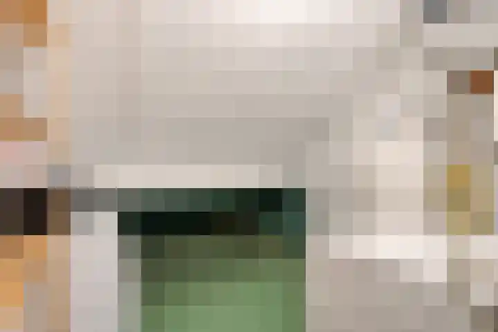 Imstenrade 67 Eindhoven thumbnail 29