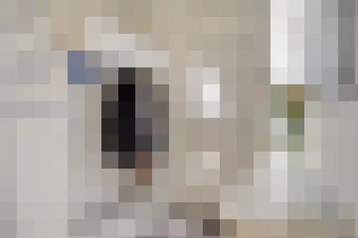 Imstenrade 67 Eindhoven thumbnail 5