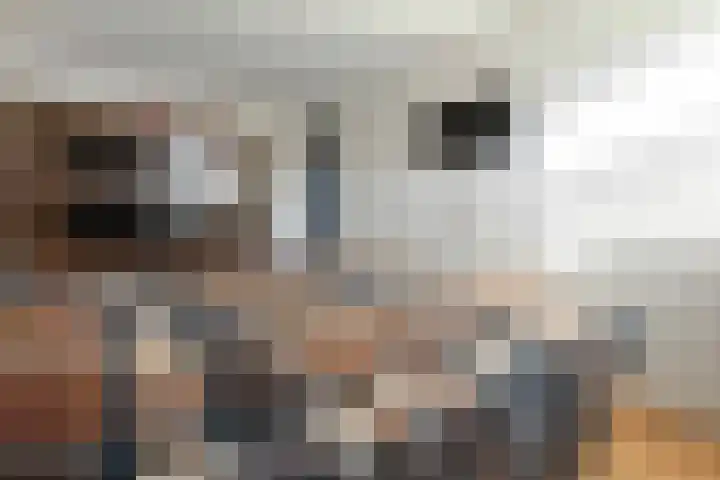 In de Bongerd 24 Bunde thumbnail 18