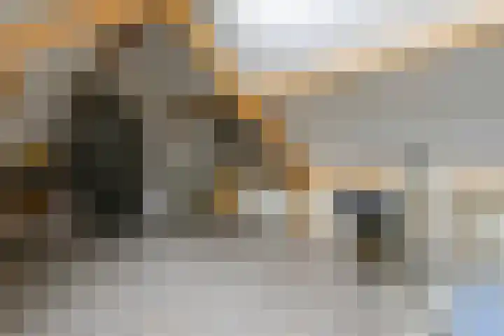 In de Bongerd 24 Bunde thumbnail 24