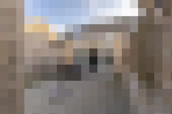 In de Bongerd 24 Bunde thumbnail 28