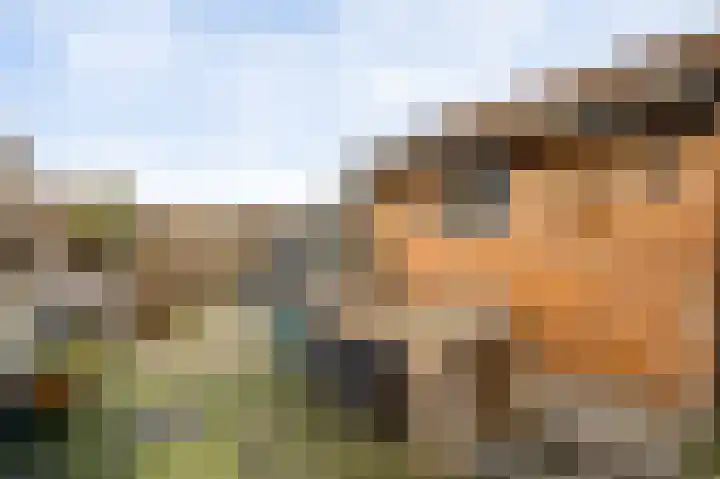 In de Camp 40 Sittard thumbnail 17