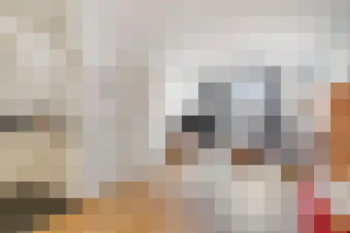 In de Pas 47 Helden thumbnail 11