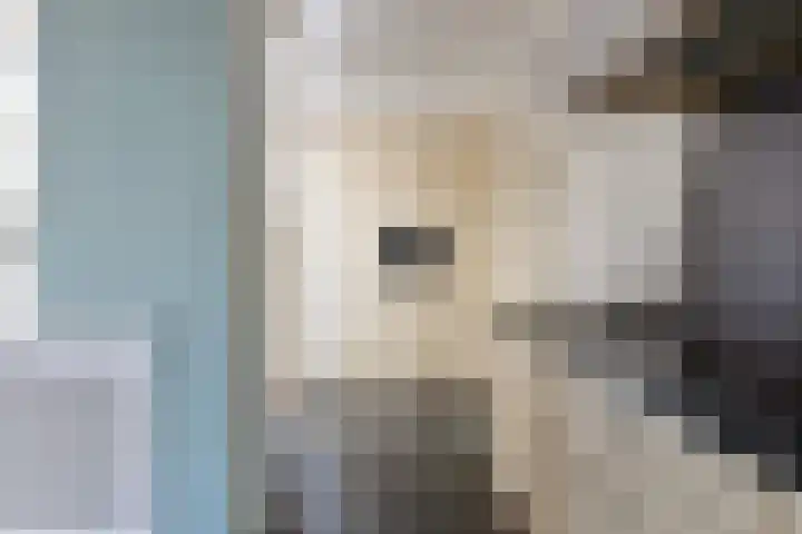 In de Pas 47 Helden thumbnail 16