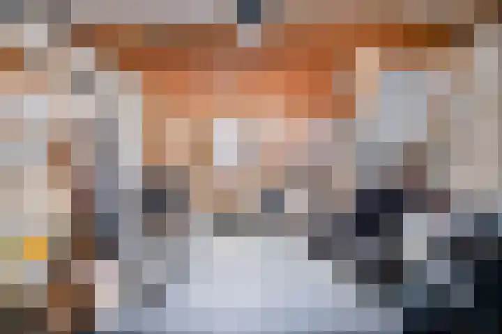 In de Pas 47 Helden thumbnail 21