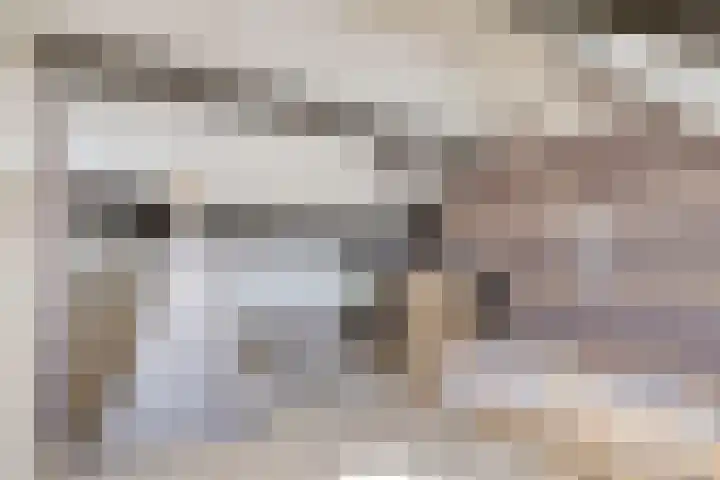 In de Pas 47 Helden thumbnail 33
