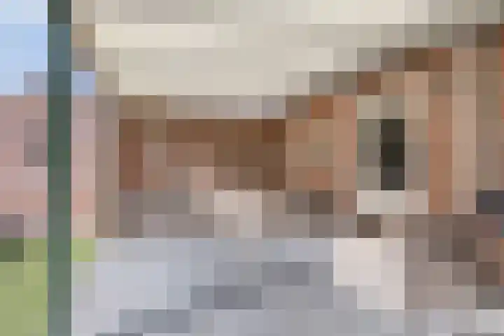 In de Pas 47 Helden thumbnail 35