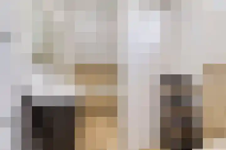 In de Pas 47 Helden thumbnail 4
