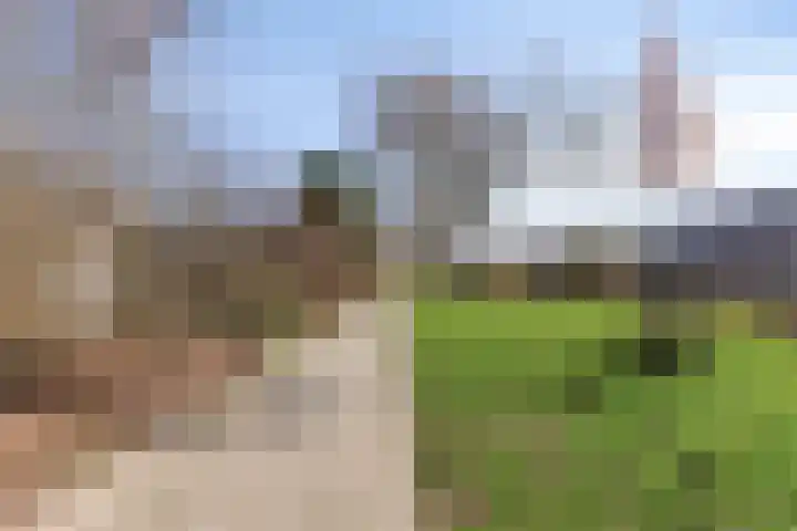 In de Pas 47 Helden thumbnail 44