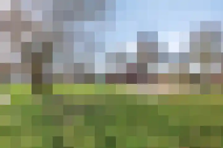 In de Pas 47 Helden thumbnail 45