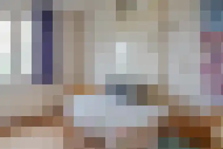 In de Riet 39 Horst thumbnail 14